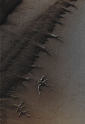 Features of the South Polar Regions (EDM - Absolute Natural Colors; credits for the additional process. and color.: Dr Paolo C. Fienga - Lunexit Team) 
nessun commento
Parole chiave: Mars from orbit - South Polar Regions