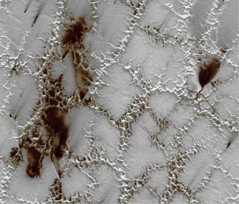 Spiders (Natural Colors; credits: Dr G. Barca & Lunar Explorer Italia)
nessun commento
Parole chiave: Mars from orbit - South Polar Regions - Spiders