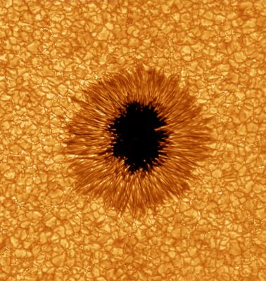 A really beautiful and DEEP SunSpot
nessun commento
Parole chiave: From Space Pictures
