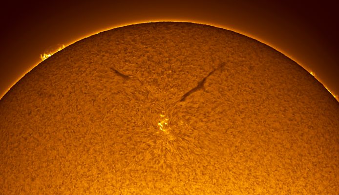 Sunspot 10982
Da "NASA - Picture of the Day", del giorno 6 Febbraio 2008:"A new Solar Cycle has begun on our Sun. Over the past year, the Sun's Magnetic Field has reset and now a new 11 year period is beginning. 
Pictured above in a specific color of light emitted by Hydrogen is Sunspot 10982, one of the first sunspots of the new Solar Cycle. The two dark lines visible just above and to either side of the bright sunspot are cool filaments held aloft by the Sun's Magnetic Field. Hot and cold regions are shown as regions of relative light and dark, respectively. 
A Solar Cycle is caused by the changing Magnetic Field, and varies from Solar Maximum (when sunspots, coronal mass ejections and flare phenomena are most frequent), to Solar Minimum (meaning when such activity is relatively infrequent). 

Solar Minima occurred in 1996 and 2007, while the last Solar Maximum occurred in 2001 (...)".
Parole chiave: The Sun - Sunspots