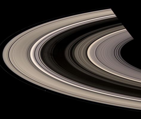 Out of the Darkness (natural colors; credits: NASA)
Caption NASA:"Saturn's rings burst out of shadow and curve gracefully around the Planet. 
Prometheus (86 Km, or 53 about miles across at its widest point) appears as a bright speck touching the inside of the narrow F-Ring. Atlas (30 Km, or approx. 19 miles across at its widest point) is also visible, faintly, upward and to the left of Prometheus, just outside the A-Ring edge. Saturn's shadow cuts across the Rings at top right. 
Several dark, narrow spokes are faintly visible near the B-Ring ansa, left of center. 

This view looks toward the unilluminated side of the Rings from about 13° above the Ring-Plane. Images taken using red, green and blue spectral filters were combined to create this natural color view. The images were obtained with the Cassini Spacecraft wide-angle camera on July 4, 2008 at a distance of approx. 1,2 MKM (about 775.000 miles) from Saturn. 
Image scale is roughly 71 Km (about 44 miles) per pixel".
Parole chiave: Saturn's Rings