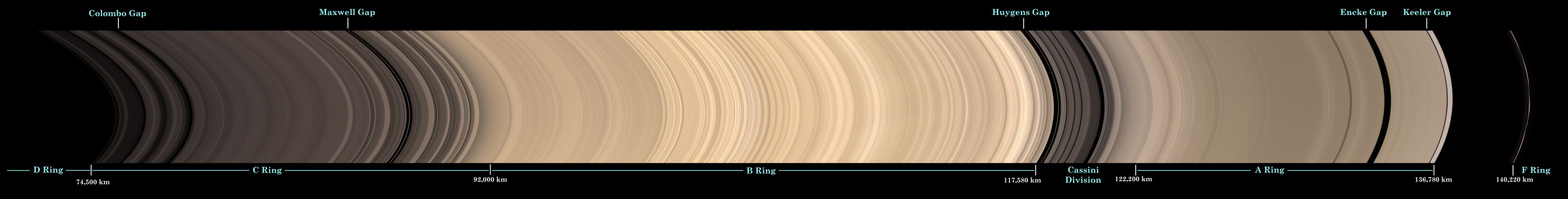 Saturn's Rings: the whole System (natural colors; credits: NASA)
Caption NASA:"Details of Saturn's icy Rings are visible in this sweeping view from Cassini of the Planet's glorious Ring System. 

This natural color mosaic, taken from 10° below the illuminated side of the Rings, shows, from left to right, radially outward from Saturn, the C-Ring (with its Colombo and Maxwell Gaps); the B-Ring and the Cassini Division beyond, with the intervening Huygens Gap; the A-Ring (with its Encke and Keeler Gaps); and, on the far right, the narrow F-Ring. The total span covers approx. 65.700 Km (such as about 40.800 miles). 
Although it is too faint to be seen here, the D-Ring is located just to the left of the C-Ring. 

It is interesting to compare this view with PIA08389, which shows the unilluminated side of the Rings. The difference in brightness of the B-Ring relative to the other Rings is striking. When illuminated directly by the Sun, the B-Ring appears brighter than the adjacent A and C-Rings; however, when viewing the unlit side of the B-Ring, the A and C-Rings appear brighter. 
This phenomenon occurs because the density of the B-Ring is greater than that of the A or C-Rings. 

The mosaic was constructed from 45 narrow-angle-camera images — 15 separate sets of red, green and blue images — taken over the course of about four hours, as Cassini scanned across the Rings. The images in this view were obtained by NASA's Cassini Spacecraft on Nov. 26, 2008, at a distance of approx. 1,1 MKM (such as about 700.000 miles) from Saturn and at a Phase Angle of 28°. 
Image scale in the radial (horizontal) direction is about 7 Km (4,3 miles) per pixel".
Parole chiave: Saturn's Rings - The Full System