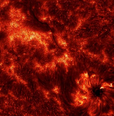 Spiculae in Solar Region 11092
Caption NASA:"Imagine a pipe as wide as a state and as long as the Earth. Now imagine that this pipe is filled with hot gas moving 50.000 Km per hour. Further imagine that this pipe is not made of metal but a transparent Magnetic Field. You are envisioning just one of thousands of young Spicules (Spiculae) on the active Sun. 
Pictured above is one of the highest resolution image yet of these enigmatic Solar Flux Tubes. Spicules line the above frame of SAR 11092 that crossed the Sun last month, but are particularly evident converging on the Sunspot on the lower right. 
Time-sequenced images have recently shown that Spicules last about five minutes, starting out as tall tubes of rapidly rising gas but eventually fading as the gas peaks and falls back down to the Sun. What determines the creation and dynamics of Spicules still remains a topic of the active Solar Research".
Parole chiave: From Earth Pictures - Professional Pictures