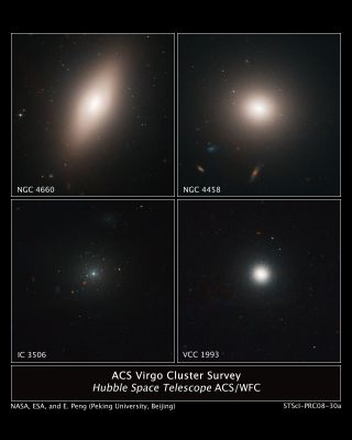 The Virgo Cluster
"...Passato e Futuro non esistono in termini di durante lineari, ma esistono in termini di condizione simultanea dell'Universo...

(David Barclay)
Parole chiave: From Space Images - Hubble Space Telescope Images