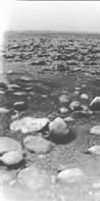 On the Surface... - Sol 1 (GIF-Movie; credits: Dr G. Barca)
Nel Gennaio 2005, come molti sanno, venne compiuto un primo e storico passo verso l’esplorazione “profonda” di Titano: dalla Sonda-madre Cassini, infatti, fu sganciato il modulo Huygens il quale, agendo su sola base inerziale (e cioè procedendo nello spazio senza l’ausilio di propulsori), arrivò a “tuffarsi” nella gelida atmosfera di Titano (il giorno 14 gennaio 2005) e poi, dopo una lunga discesa attraverso le sue nebbie arancio-marroni (una discesa durata qualcosa come 2 ore e 27 minuti!), ne raggiunse felicemente la superficie.

Da lì, poi, questa piccola probe avrebbe trasmesso dati (ufficialmente) per circa un’ora e mezza.

Il Modulo Remoto Huygens, al contrario di quanto temuto da molti scienziati, è riuscito ad evitare il landing su una superficie liquida e, dopo aver visto, fotografato e “sfiorato” una fitta rete di canali e di altri rilievi superficiali scuri e non identificabili con certezza (forse dei laghetti), si è delicatamente posato su quello che sembra essere il greto asciutto di un torrente.
Rocce e cristalli che mostrano chiari segni di erosione da fluidi sono ben visibili tutto intorno alla Sonda e poi, scrutando l’orizzonte più lontano, il profilo scuro ed ovattato di rilievi distanti qualche centinaio di metri sembra affacciarsi alla vista.


Parole chiave: Saturn's Moon - Titan - Surface