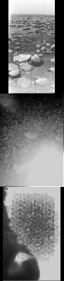 On the Surface... - Sol 1 (GIF-Movie; credits: Dr G. Barca)
La consistenza apparente (e cioè sulla base dell’osservazione visuale diretta) del suolo di Titano suggerisce quella della sabbia umida e ciò ha fatto pensare che il terreno su cui si è poggiata la Huygens Probe possa essere periodicamente (rectius: frequentemente) soggetto al passaggio di liquidi.

Ad onor del vero, le immagini della superficie di Titano ottenute da Huygens – certo suggestive, ma poche e di mediocre qualità – non ci sono state di grande aiuto per comprendere in maniera adeguata la realtà superficiale di Titano e quindi, per fornire al Lettore un’idea di quello che un ipotetico astronauta potrebbe realmente vedere in seguito ad un Landing sulla “Luna Nebbiosa”, abbiamo dovuto fare ricorso ad una serie di riflessioni e speculazioni.


Parole chiave: GIF-Movie