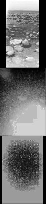 On the Surface... - Sol 1 (GIF-Movie; credits: Dr G. Barca)
Il quantitativo di luce solare e di calore che raggiunge la superficie di Titano (la cui temperatura superficiale media, lo ricordiamo, si aggira, per quanto si sa e si suppone, intorno ai -175° Celsius) infatti, è talmente esiguo (diciamo pure “trascurabile”) da non permettere – se non altro sulla base di quelle che sono le nostre attuali conoscenze scientifiche – lo sviluppo di alcuna reazione assimilabile, ad esempio, alla fotosintesi.

Questo significa, tra le altre cose, che l’eventuale sviluppo di Forme Vitali indigene su Titano potrebbe derivare esclusivamente da interazioni chimiche o da processi esotici di carattere assolutamente locale. A quest’ultimo proposito, infine, si è detto e scritto che Titano, in fondo, rappresenta la versione “gelida” di una Terra Primordiale (un parallelo nato, probabilmente, dalla considerazione relativa al quantitativo di Nitrogeno esistente nell’atmosfera della Luna Nebbiosa nonché in riferimento a quella che sembra essere la morfologia attuale del pianeta in rapporto a quella che si suppone possa essere stata la morfologia della Terra Primordiale).
A nostro parere, però, la realtà è diversa e Titano potrebbe rappresentare, oggi, l’espressione di un Mondo “vivo e vitale” per nulla simile od assimilabile al nostro Pianeta Azzurro.

Un mondo che NON assomiglia affatto alla nostra Terra e che NON assomiglierà MAI alla nostra Terra.

Pensate: se la regola fondamentale della “Vita”, nel suo senso più ampio e profondo, è esprimibile nel concetto di “ADATTAMENTO NEL TEMPO”, allora è ragionevole pensare che su Titano, in fondo (e riflettendoci bene), potrebbero essere in corso da ere ed ere (!) processi tali da aver consentito la nascita e lo sviluppo di Forme di Vita indigene assolutamente peculiari, per noi inimmaginabili e, per ovvi motivi, completamente diverse da quelle che caratterizzano la Terra e gli ipotetici ambienti alieni di tipo simil-terrestre.

Il fatto che la ricerca (talvolta esasperata) di similitudini fra altri mondi ed il “nostro” mondo costituisca una caratteristica peculiare e propria della Scienza (Astronomica e non solo) Moderna e dell’atteggiamento degli scienziati che la praticano è indubitabile; ma che un simile approccio, alla fine, non possa venirsi a caratterizzare se non per la sua intrinseca limitatezza (e per lo strabismo scientifico che geneticamente lo affligge), ci sembra un elemento sul quale si dovrebbe riflettere meglio e maggiormente.


Parole chiave: GIF-Movie