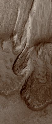 Huge Landslide in Tithonium Chasma (Natural Colors; credits for the additional process. and color.: Dr Paolo C. Fienga - Lunexit Team)
Caption NASA originale:"This MGS-MOC image shows a landslide that occurred off of a steep slope in Tithonium Chasma, part of the vast Valles Marineris Trough System". 

Location near: 4,8° South Lat.; 84,6° West Long.
Image width: ~3 Km (~1,9 mi) 
Illumination from: upper left 
Season: Southern Autumn
Parole chiave: Mars from orbit - Landslides - Tithonium Chasma