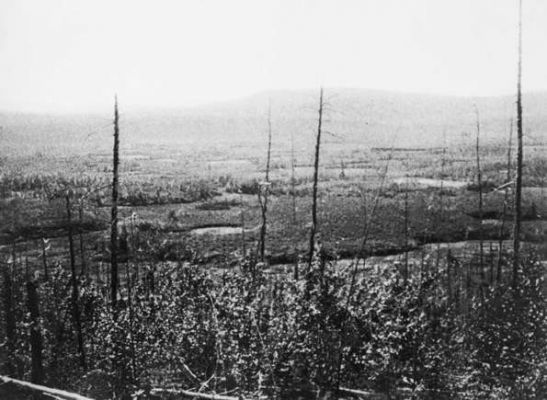 Tunguska (Russia)
Cosa succede quando un meteorite fa breccia nell'atmosfera terrestre ma non colpisce il suolo ed esplode invece a mezz'aria? Questo e' esattamente quello che accadde nel 1908 vicino al fiume Podkamennaya Tunguska. Sebbene non sia visibile alcun cratere, l'esplosione ha appiattito circa 80 milioni di alberi su un'area di 2.150 km quadrati di foresta.
Parole chiave: Earth's Impact Craters
