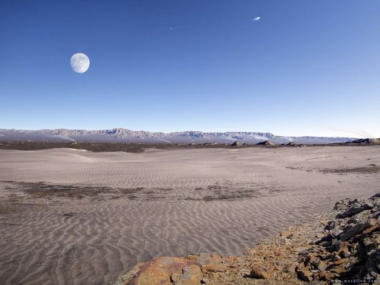 23 Million Years B.C.
Parole chiave: The Universe Inside