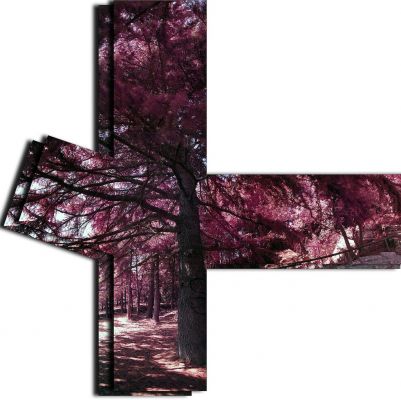 The "Uneven Passion" (by Marco Faccin)
nessun commento
Parole chiave: Artistic Pictures