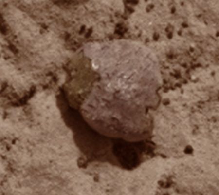 Unknown Lifeform (Enhanced Natural Colors; credits for the additional process. and color.: Drr Marco Faccin and Paolo C. Fienga - Lunexit Team)
nessun commento
Parole chiave: Martian Surface - Controversial Feature