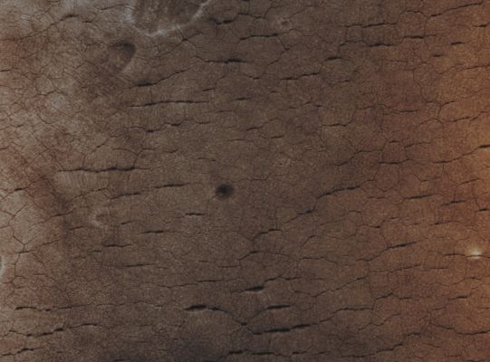 Polygons in Utopia Planitia (Absolute Natural Colors; credits for the additional process. and color.: Dr Paolo C. Fienga - Lunexit Team)
Caption NASA originale:"This MGS-MOC image shows a typical view of Polygon-cracked and Pitted Surfaces unique to Western Utopia Planitia. No other place on Mars has this appearance. Some Mars scientists have speculated that ground ice may be responsible for these landforms". 

Location near: 42,3° North Lat. and 275,6° West Long.
Image width: ~3 Km (~1,9 mi) 
Illumination from: lower left 
Season: Northern Summer
