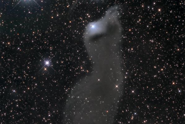 vdB-152 - Reflection Nebula in Cepheus
"...(Multa) non quia difficilia sunt non audemus, sed quia non audemus difficilia sunt..."

(Seneca)

"...Ci sono svariate imprese che noi non osiamo (affrontare) le quali non sono (in sè) difficili; ma esse, in realtà, lo diventano proprio perchè noi non abbiamo il coraggio di  affrontarle..." (trad. libera)
Parole chiave: From Earth Images - Amatorial Images