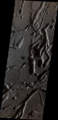 Collapse Features on the Northern Flank of Ascraeus Mons (Absolute Natural Colors; credits for the additional process. and color.: Dr Paolo C. Fienga/Lunar Explorer Italia/Italian Planetary Foundation)
This image was taken by the NASA - Mars Odyssey Orbiter, this time during its 47952nd Orbit, and it shows us a small fraction of the unbelievably compllicated Network of Collapse Features (Pits, Pit-Chains, Channels and Fissures) which are located on the Northern Flank of the Martian Volcano known as Ascreaus Mons (a large Shield Volcano located in the Tharsis Region of the Red Planet). Ascraeus Mons is the Northernmost and tallest of the 3 (three) Shield Volcanoes collectively known as the Tharsis Montes,being the other two huge Volcanoes known as Pavonis and Arsia Mons (if you wish to have an orbital vision of all these three fascinating Volcanoes, as well as a portion of the Noctis Labyrinthus Region of Mars, please go to Archive and refer to the APOD of February, 14th, 2012). Out of curiosity, Ascraeus Mons' location corresponds to the so-called "Classical Albedo Feature" which was known as Ascraeus Lacus.
Ascraeus Mons was actually discovered by the NASA - Mariner 9 Spacecraft in 1971. This enormous Volcano, however, was originally just called "North Spot", since it was the Northernmost of the only 4 (four) "Spots" (---> Reliefs) visible on the whole Surface of Mars which, at that time (and due to a Global Dust Storm), looked completely featureless from the orbit. As the Dust cleared, the abovementioned "Spots" were revealed to be extremely tall Shield Volcanoes whose Summits stood above the Dust-flooded, Lower Atmosphere. The Volcano's name officially became Ascraeus Mons in 1973.

Latitude: 13,6538° North
Longitude: 257,429° East 
Instrument: VIS 
Captured: October, 5th, 2012

This frame (which is an Original Mars Odyssey Orbiter b/w frame published on the NASA - Planetary Photojournal with the ID n. PIA 16647) has been additionally processed and then colorized in Absolute Natural Colors (such as the colors that a human eye would actually perceive if someone were onboard the NASA - Mars Odyssey Orbiter and then looked down, towards the Surface of Mars), by using an original technique created - and, in time, dramatically improved - by the Lunar Explorer Italia Team.
Parole chiave: Mars from orbit - Volcanoes - Ascraeus Mons