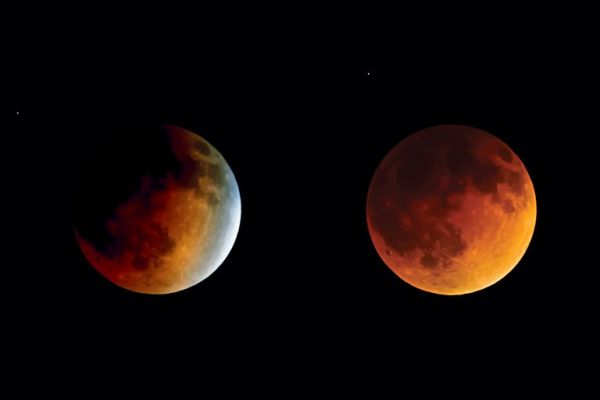 The "Second Moon"?
Quote (da Esquire.com):"Una cosa che accomuna sicuramente tutti gli esseri umani di tutti i luoghi e di tutte le epoche è l'abitudine a guardare una sola Luna. Marte ad esempio ne ha due di Lune, mentre Giove, secondo le ultime misurazioni, ne ha 79.
Ma cosa pensereste se vi dicessi che la Terra ha un altro satellite nascosto? Un'altra quasi-luna che gli gira intorno? L'abbiamo scoperta solo nel 2016 e l'abbiamo chiamata Kamo'oalewa, che in hawaiano significa 'oggetto celeste in movimento'. Un nuovo studio su Nature ne ha parlato e ha spiegato come si è formata.
Misura meno di 50 metri e ci gira intorno in modo ripetitivo, ma la sua orbita non è molto convenzionale, perché distorta dalla forza gravitazionale del Sole. Il mistero che per un bel po' ha attirato l'attenzione degli studiosi riguardava il materiale di cui era composta, stranamente complicato da determinare. Alla fine siamo arrivati a capirlo per vie traverse, studiando i campioni lunari riportati dalla missione Apollo 14 nel 1971. Kamo'oalewa è un pezzo di Luna che probabilmente si è staccato in seguito a un impatto con qualche asteroide.
La parte più triste di questa storia però è che questo piccolo quasi-satellite terrestre rimarrà a farci compagnia solo per altri 300 anni, poi la sua instabile orbita cambierà e proseguirà il suo viaggio chissà dove. Intanto l'agenzia spaziale cinese sta progettando una missione robotica per raggiungerla e prenderne un pezzetto entro il 2024". 

Incommentabile.
Parole chiave: Moon