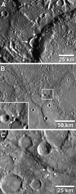 Craters "Deformed" and "Shortened" on Mercury
Numerous examples of craters that have been deformed and shortened by younger faults have been identified on images returned from MESSENGER’s first flyby of Mercury. In three cases shown here (arrows), portions of the floor and rim of a crater were buried when a large block of crust was thrust over the crater during the formation of a prominent fault scarp or cliff. By comparing the estimated size and shape of the original, undeformed crater with the crater’s current geometry, scientists can infer the amount of movement between the two crustal blocks on either side of the fault. This figure was recently published in Science magazine. 

For each of the three examples of deformed and shortened craters shown here, movement on the faults buried at least a kilometer of the original crater. A: 17-Km (11-mile) diameter crater (arrows) shortened by Beagle Rupes. B: 5-Km (3-mile) diameter crater deformed near the rim of an older, larger crater, shown enlarged in the box on the lower left. C: 11-Km (7-mile) diameter crater (arrows) shortened by a North/West-South/East-trending fault scarp.
Parole chiave: Mercury