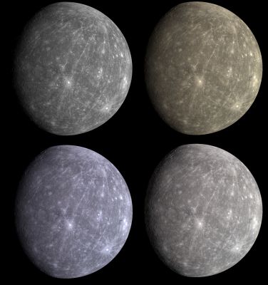 The "True Colors" of Mercury?
...Ed alla fine, anche la NASA (almeno per quanto riguarda la Missione MESSENGER) si è "arresa" alla Logica Generale dei Colori adottata - tempo fa - da Lunexit.
Citiamo (come da nostro Sondaggio) "I colori di un Mondo dipendono (o, se volete, stanno) dagli (negli) occhi di chi lo guarda".

Una considerazione che potrà anche sembrarVi stupida e scontata ma che, va detto per Onestà Intellettuale, è stata oggettivata e fatta propria da Lunar Explorer Italia da tempo ed attraverso l'articolo "True Colors", che potete trovare nell'archivio del nostro blog TrePlanets.

A nostro avviso, questa considerazione NASA (che riprende Lunexit) deve farci ancora una volta sentire fieri del Lavoro che svolgiamo e dei risultati che otteniamo.

Anche se, a parte Voi Lettori e noi STAFF, non sembra essersene accorto nessun altro (specie in Italia)...

Caption NASA:

Date Acquired: October 6, 2008
Image Mission Elapsed Time (MET): 131775256, 131775260, 131775264, 131775268
Instrument: Wide Angle Camera (WAC) of the Mercury Dual Imaging System (MDIS)
Resolution: 5 Km/pixel (about 3 miles/pixel)
Scale: Mercury’s diameter is roughly 4880 Km (approx. 3030 miles)
Spacecraft Altitude: about 27.000 Km (approx. 17.000 miles)

Of Interest: Given the WAC’s ability to take images through 11 narrow-band color filters, it is natural to wonder what does Mercury look like in “true” color such as would be seen by the human eye. However, creating such a natural color view is not as simple as it may seem. Shown here are four images of Mercury. The image in the top left is the previously released grayscale monochrome single WAC filter (430-nanometer) image; the remaining three images are three-color composites, produced by placing the same three WAC filter images with peak sensitivities at 480, 560, and 630 nanometers in the blue, green, and red channels, respectively. The differences between the color representations result from how the brightness and contrast of each individual WAC filter image was adjusted before it was combined into a color picture. In the top right view, all of the three filter images were stretched using the same brightness and contrast settings. In the bottom left picture, the brightness and contrast of each of the three filter images were determined independent of the others. In the bottom right, the brightness and contrast settings used in the upper right version were slightly adjusted to make each of the three filter images span a similar range of brightness and contrast values. 

So which color representation is “correct” for Mercury? The answer to that would indeed DEPEND ON THE EYES OF THE BEHOLDER. Every individual sees color differently; the human eye has a range of sensitivities that vary from person to person, resulting in different perceptions of “true” color. In addition, the three MDIS filter bands are narrow, and light at wavelengths between their peaks is not detected, unlike the human eye. In general, in light visible to the human eye, Mercury’s surface shows only very subtle color variations, as seen in the three images here. However, when images from all 11 WAC filters are statistically compared and contrasted, these subtle color variations can be greatly enhanced, resulting in extremely colorful representations of Mercury’s surface.
Parole chiave: Mercury
