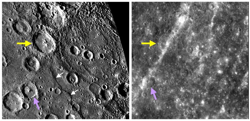 Changings...
Date Acquired: October 6, 2008
Image Mission Elapsed Time (MET): 131774145
Instrument: Narrow Angle Camera (NAC) of the Mercury Dual Imaging System (MDIS)
Resolution: 550 meters/pixel (0,34 miles/pixel)
Scale: Asvaghosa crater is approx. 90 Km in diameter (about 56 miles)
Spacecraft Altitude: about 21.000 Km (approx. 13.000 miles)

Of Interest: This pair of images illustrates the dramatic effect that illumination and viewing geometry (i.e., the angle at which Sunlight strikes the surface, and the angle from which the spacecraft views the surface) has on the appearance of terrain on Mercury. The image on the right is a frame captured by MESSENGER’s NAC as the spacecraft was departing the planet after its second Mercury flyby. On the left is a portion of a mosaic made from Mariner 10 clear-filter images, obtained by that mission in 1974. The yellow arrows point to the 90-Km- (56-mile-) diameter crater Asvaghosa (named for the first century AD Indian philosopher and poet), and the purple arrows indicate a smaller crater to the southwest. A bright ray, prominently visible in the high-Sun MESSENGER frame, crosses both craters. The stripe of high-reflectance material may have originated at Kuiper crater (to the southwest) or may come from a newly imaged crater to the northeast that has an extensive ray system. This ray and others seen in the NAC image were mostly invisible to Mariner 10, because low-Sun illumination emphasizes topography instead of differences in reflectance. As another example, the curving scarp (cliff) named Santa Maria Rupes (white arrows in the left image) is visible in the Mariner 10 image by the shadow it casts, but this rupes disappears in the MESSENGER image when the Sun is high overhead. Images collected under both high- and low-Sun conditions are needed for geologists to develop a complete understanding of the features on a planetary surface.
Parole chiave: Mercury