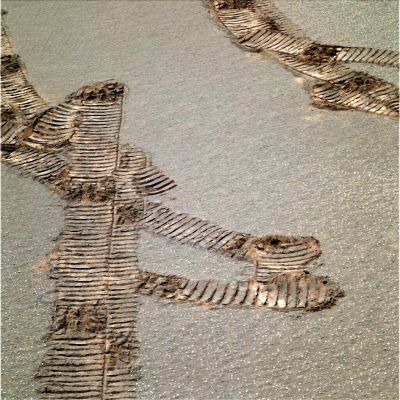 Rover Tracks (natural colors - elab. Keith Laney)
nessun commento
Parole chiave: Martian Surface - Rover Tracks with sands, berries and pebbles