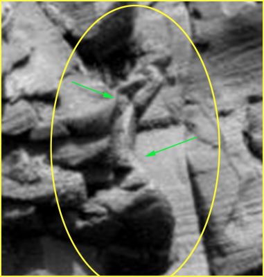 "Tubular Bells"... - Sol 1213 (EDM n.1 - credits: Ivana Tognoloni - Lunexit Team)
nessun commento
Parole chiave: Martian Surface - Craters - Victoria Crater - Controversial Feature