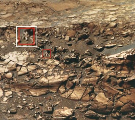 The Martian "Star" (by Ivana Tognoloni & Lorenzo Leone)
Una curiosissima "Surface Feature", situata all'interno del Cratere Victoria, ci è stata segnalata dalla nostra Amica Lettrice Ivana Tognoloni. Il detail mgnf con evidenziazione del particolare, è stato realizzato dal nostro vecchio Amico e Ricercatore Esterno Senior, Lorenzo Leone.
Come commentare questa Singolarità? Difficile, molto difficile...Diciamo che, da una certa distanza, l'apparenza del rilievo può effettivamente richiamare alla mente una sorta di "Stella Marina", magari un pò "contorta", così come accade quando esse riposano su rilievi non proprio piatti. Tuttavia, a mano a mano che ci avviciamo al particolare, allora la sensazione è che non si tratti di un corpo unitario "tentacolare", bensì di più rilievi a forma simil-tubolare, leggermente accavallati (sovrapposti, se volete). 
Uno di questi "rilievi tubolari" (esterno alla Singolarità investigata) lo potete scorgere appena sulla Sx della "Stella" (cioè a Dx dell'Osservatore). 

Di che cosa si tratta?

Alla NASA non si sono (ufficialmente) mai occupati di questi dettagli, ma la loro forma potrebbe far pensare a delle mini "ripples" (dunette fatte di sabbia rappresa - indurita dal freddo e dal vento e, dopo ere ed ere, di fatto quasi "cementata" - tipo "Yardangs") le quali, a seguito di processi geologici ed atmosferici che non sempre siamo in grado di capire sino in fondo e/o, quindi, di spiegare, si configurano nelle maniere più bizzarre. 

"Ripples" sovrapposte, sollevate parzialmente dal suolo (sino a formare archi o segmenti d'arco - o "simil-ponti"), intrecciate e di dimensioni enormemente più grandi di queste, sono osservabili in svariati frames orbitali ed una loro "giustificazione razionale" ancora manca.

Qualche Ricercatore (a nostro parere peccando di eccesso di Fantasia) vede nelle Mega-Ripples alle quali accennavamo qui di sopra, delle Strutture Aliene Artificiaili e Complesse; il Dr Feltri - come anche alcuni altri Ricercatori "Immaginifici" - avanza l'ipotesi secondo cui si potrebbe anche trattare di Forme Vitali Indigene, a Matrice Bio-Magnetica. 
Altri Ricercatori, infine, propendono verso l'ipotesi per cui si possa trattare di "rilievi a Natura Mista". 
"Mista" nel senso che, allorchè tali "Ripples Intrecciate" vengono individuate su scala "ridotta" - "Mini-Ripples", come in questo caso, all'interno del Cratere Victoria - si ipotizza una loro Matrice Organica, la quale ci suggerisce che si potrebbe trattare di fossili; nel caso di scala "gigante" - "Mega-Ripples", visibili - BENE! - anche da centinaia di Km di altitudine - si tende invece ad optare per una loro Matrice Geologica, la quale ci spinge a considerare simili rilievi come "Anomalìe di Superficie" o "Surface Oddities".

Decidete Voi quale ipotesi Vi soddisfa di più (oppure provate a suggerirne una nuova, se volete) e, per il momento, COMPLIMENTI alla Sig.ra Tognoloni per l'"occhio" ed al nostro Carissimo Amico, sempre attento e puntuale, Lorenzo Leone, per la pazienza avuta e per l'eccellente elaborazione addizionale del frame!
Parole chiave: Victoria Crater - Unusual Inner Feature