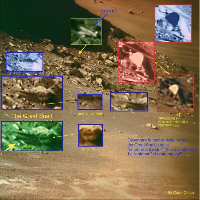 The "Martian Snail" & C. (by: Carlo Contu)
Una vasta molteplicità di profili curiosi e di rilievi singolari propri dell'inner rim di Victoria Crater, ci viene evidenziata dal nostro carissimo Amico, il Sig. Carlo Contu.
Che cosa stiamo guardando?

A nostro parere, il rilievo più intrigante (e meno spiegabile facendo ricorso ai "soliti" strumenti del Ricercatore - e cioè: ombre ingannevoli, artifacts derivanti da uno stretch eccessivo del frame, unusual - but natural - surface features etc.) è quello che il bravo Carlo battezza come "The Great Snail", la "Grande Lumaca". Effettivamente la forma di questa surface feature è tanto autoesplicativa nel nome, quanto ambigua nella definizione della sua possibile origine.
Noi, come Gruppo di Ricerca Pragmatico (e Moderato), riteniamo che si tratti, per la totalità dei dettagli evidenziati, di affascinanti giochi di luce (e d'ombra) e di "umanizzazioni" (con ciò intendendosi il tentativo operato dall'Osservatore di ricondurre "profili ignoti" a "profili noti" - o, almeno, a profili afferrabili dalla comune sensibilità visiva terrestre). 
Certo è che anche la NASA ci mette del suo e "stimola" i dubbi allorchè - apparentemente senza una ragione ovvia - continua a riprendere (per giorni, e giorni, e giorni...etc.) SEMPRE il medesimo scorcio...

Che dire? Stiamo guardando un "fossile", una "creatura indigena", una "unusual surface feature" o, semplicemente, uno "scherzo della Vista"? Cari Amici: decidetelo Voi da soli.

Noi possiamo solo sottolineare ed apprezzare l'intento e l'acutezza visiva di Carlo; ma per dire "che cosa" stiamo davvero osservando...Lo sapete: dovremmo essere lì!

Un grande Saluto e Complimenti all'Amico Carlo Contu!
Parole chiave: Victoria Crater - The Inside - Controversial features