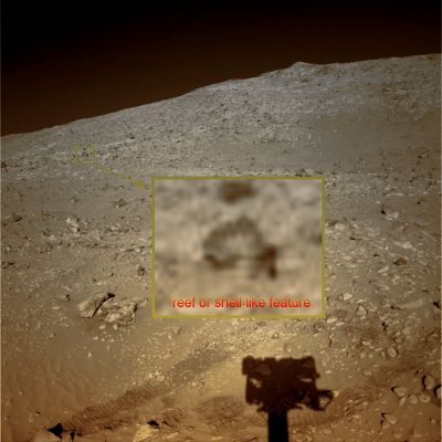 Erratic Boulder or Shell-like Feature? - Sol 164 (by Ivana Tognoloni)
Dalla nostra Carissima Amica e Collega, Ivana Tognoloni, un trittico di immagini che, a quanto sembra, contengono degli spunti di riflessione molto interessanti. In questo primo frame, è la stessa Ivana che ci dice "...c'è qualcosa che pare un contenitore, carino, a forma approssimativa di conchiglia; lo trovo estraneo all'ambiente circostante e non sembra una pietra...". 

Ottime considerazioni! La contestualizzazione di Ivana è sostanzialmente corretta: il dettaglio controverso (magnificato nell'inset) pare effettivamente estraneo all'ambiente a cui accede, ma attenzione: non è l'unico macigno di medie dimensioni che ci è possibile vedere oltre l'ombra di Spirit.
Ad ogni modo la sua forma, estremamente bizzarra, già ci consente di parlare di Singolarità. 

Tuttavia, dopo aver colorizzato, ingrandito e ridefinito il frame, il passo successivo (e cioè quello che ci permetterebbe di lasciare la nozione di Singolarità per giungere a quella di Anomalìa di Superficie) non lo possiamo compiere. E non lo possiamo compiere per un semplicissimo motivo: la qualità di questa immagine è buona, ma non ottima.
Lo stretch operato per ingrandire il dettaglio controverso ci ha consentito di capire che si tratta di un rilievo superficiale di media dimensione (diremmo circa 80/90 cm di base e 60/65 di altezza) e di forma indubbiamente curiosa; tuttavia la sua definizione è peggiorata al punto che non ci è assolutamente possibile scrutarlo nel dettaglio e dire "che cosa è" (o che cosa NON è).

E allora cosa si può dire o fare? Beh, in realtà, avendo Logica e Pragmatismo alla mano, possiamo ragionevolmente supporre che si tratti di un macigno erratico, probabilmente un ejecta boulder (e questo spiegherebbe sia il suo colore - che è leggermente diverso da quello di quasi tutte le altre rocce che lo circondano -, sia la sua texture superficiale - idem c.s.).

Oltre, ahinoi, non si può andare...Ed in ogni caso, grandi complimenti ad Ivana per lo spunto!
Parole chiave: Martian Surface - Erratic Boulder/Ejecta Boulder