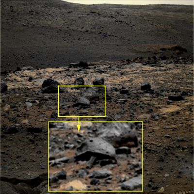 Rocky Tongue (by Ivana Tognoloni) - Sol 1823
Ed a chiusura del Trittico propostoci dalla bravissima Ivana, ecco un'altra "Lingua di Pietra" oppure, se Vi piace di più, un'altra "Coda" che, as usual, pare emergere dal di sotto di un macigno a forma di calotta - in realtà molto simile alla corazza che contraddistingue le nostre (Terrestri) tartarughe.

CONCLUSIONI

Ennesima "illusione ottica"? Ennesima "svista" determinata da una prospettiva ingannevole? Pura e semplice "Fantasia" a briglie sciolte?
Oppure siamo davanti all'evidenza di "Qualcosa che vive" nelle rocce (o dentro le rocce, o al di sotto della superficie, etc.) e che, di quando in quando, si manifesta? 
Qualcosa che si "muove" (forse strisciando...)?

Stiamo osservando un "tentacolo"?
O magari una "presa d'aria" (diciamo una "presa di CO2", che è più corretto)? 
Forse un'appendice naturale che serve a sondare l'atmosfera, valutando le condizioni (di umidità, pressione, temperatura e luce) ottimali per "uscire all'aperto e farsi una passeggiatina"?

Queste, a nostro avviso, sono TUTTE IPOTESI VALIDE, dalla più razionale alla più fantasiosa. 

Noi, in piena Onestà (e nonostante la nostra ritrosia a fare proclami insostanziati ed insostanziabili), siamo comunque propensi a credere che ci sia "Qualcosa di vivo" nei pressi del Rover. 
Qualcosa che osserva e si nasconde ma che, a volte, viene inquadrato di sfuggita. Magari mentre sta uscendo fuori o si sta ritraendo...
Noi siamo altresì convinti del fatto che queste Forme Vitali Indigene sìano note alla NASA e che costituiscano - da tempo - un ovvio oggetto di studio e di analisi.
Noi crediamo che queste Forme Vitali Indigene sìano assolutamente esotiche e, probabilmente, non del tutto compatibili con noi (da svariati punti di vista). E forse, senza stare a scomodare i vari Cover-ups, le Teorie del Complotto e la "mancanza di fondi", l'Incompatibilità Biologica potrebbe e dovrebbe essere il motivo REALE per cui l'Esplorazione Umana di Marte giace in perenne stand-by anche se - e già da anni - possediamo i mezzi e la tecnologia ottimale per sbarcare sul Pianeta Rosso.

Stiamo esagerando? 
Il Tempo risponderà a questa domanda come a tutti gli altri quesiti che ci siamo posti in queste poche righe. 
Solo il Tempo. 

Dieci anni ancora? 
Venti? 
Un secolo magari? 

Nessuno può dirlo, poichè la Scienza - si sa - non ha fretta.
Gli Uomini, invece, la fretta ce l'hanno sempre, perchè il loro "Tempo" è limitato (e sofferto, spessissimo).
Ma la Scienza ha tutto il Tempo che vuole.
Un giorno sapremo. 

Oggi, senza per questo passare per stupidi, sensazionalisti, malati o visionari, possiamo osservare, ipotizzare e, quando è il caso, sognare e speculare con Voi.
Senza esagerare e restando quanto più possibile pragmatici.

Ma tra il "voler vedere a tutti i costi" (una prerogativa tanto cara agli Eso-Archeografi di tutto il Globo...) ed il "non vedere mai nulla", sino a giungere ad ignorare l'evidenza (una prerogativa, questa, che è carissima agli "Scienziati Positivi" del nostro Pianeta), DEVE PUR ESISTERE UNA VIA MEDIANA.

E, se esiste, è su di essa che a noi piace stare e camminare: rimanendo sempre entusiasti, curiosi, attenti, pragmatici e mai completamente "chiusi", nè d'occhi, nè di testa. 
Questa è la strada di Lunar Explorer Italia e di coloro che la formano (e, credeteci, non è una strada facile da battere...).

Forse è anche una strada "ingrata".

Grandissimi Complimenti ad Ivana Tognoloni, ancora una volta!
Parole chiave: Martian Surface - Extremely Controversia Surface Feature - "Rocky Tongue"