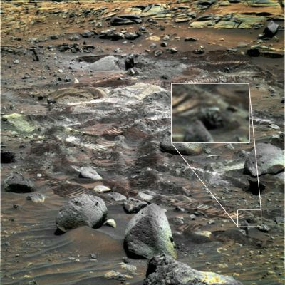 Martian Flower? - Sol 1834 (by Enzo Mancuso)
Dall'occhio del nostro Amico Enzo Mancuso, un altro esempio di "Martian Oddity": nel chiaro detail mgnf che potete osservare sulla Vostra Dx, infatti, emerge un rilievo che non può non costituire - come minimo! - una Singolarità di Superficie.
Spiegare quale azione geologica (vulcanismo attivo incluso, come ovvio) abbia potuto portare alla creazione di un rilievo tale quale è quello individuato dal bravo Enzo, onestamente, non ci è dato sapere, ma una cosa - ad onor del vero - possiamo dirla: già in altre due circostanze (la prima delle quali è relativa ad un frame Lunare della Serie Apollo - guardate il frame AS 17-145-22171 - Moonflower) un simile rilievo ero apparso, catturando il nostro interesse. Verificate Voi stessi: troverete differenze ed affinità.
Noi, oltre a complimentarci con Enzo per il "colpo d'occhio", possiamo solo invitarVi a riflettere su un tema, ormai, ricorrente: quante possibilità ci sono - secondo Voi - che, al di fuori della Terra, si sìano sviluppate (e/o si stiano ancora sviluppando) delle Forme Vitali Indigene ASSOLUTAMENTE Esotiche?

Scriveteci!...
Parole chiave: Martian Surface - Extremely Controversia Surface Feature - "Martian Flower"
