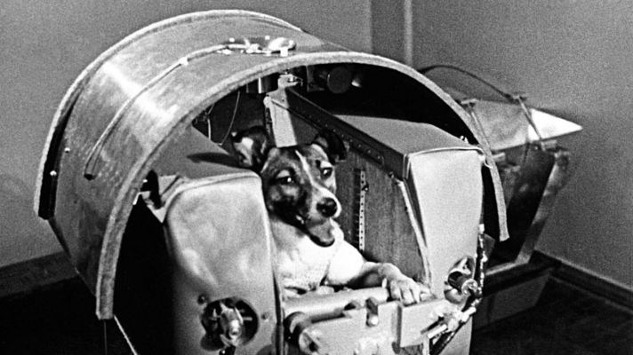 Hero!
Laika (traslitterato: Lajka, "Piccolo abbaiatore"), Mosca, 1954 – Spazio, 3 novembre 1957) è uno dei nomi con cui è nota la cagnolina che il 3 novembre 1957 fu imbarcata a bordo della capsula spaziale sovietica Sputnik 2, diventando così il primo animale ad orbitare intorno alla Terra. Una Eroina a "4 zampe" che il Mondo NON deve e NON può dimenticare. Qualsiasi cosa si possa dire adesso. Onore, per Sempre.
Parole chiave: History