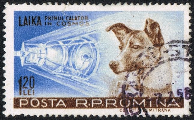 Laika: one Real Hero! (stamp from Rumania)
nessun commento
Parole chiave: Laika