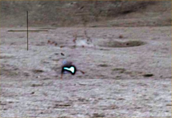 AS 15-87-11849 - Surface Anomaly? (Extremely Enhanced Natural Colors; credits for the additional process. and color.: Dr Paolo C. Fienga - Lunar Explorer Italia/Italian Planetary Foundation)
...ebbene, per quanto assurdo possa sembrare, l'oggetto che - APPARENTEMENTE - aveva causato un artefatto da (cosiddetta) "sovrasaturazione", potrebbe anche essere il risultato di un difetto della pellicola e cioè, nella fattispecie, la presenza di un piccolo buco (sfrangiato, simile ad una sorta di bruciatura chimica) sulla medesima. Purtroppo la NASA, da noi interpellata in passato sulla natura del dettaglio (che ritenevamo essere un oeggetto reale), non si è MAI pronunciata. Peccato. Soprattutto per loro...
Parole chiave: Lunar Surface - Controversial Frame