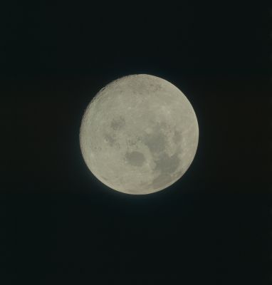 AS 17-152-23343 - The Moon is far away...Again! (elab. in true colors by Lunexit)
nessun commento
Parole chiave: The Moon from Space - Trans Earth Coast