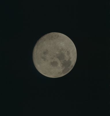 AS 17-152-23345 - The Moon is far away...Again! (elab. in true colors by Lunexit)
nessun commento
Parole chiave: The Moon from Space - Trans Earth Coast