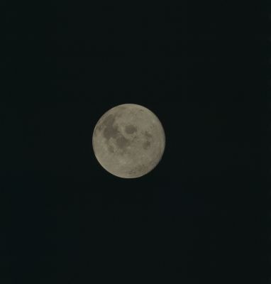 AS 17-152-23346 - The Moon is far away...Again! (elab. in true colors by Lunexit)
nessun commento
Parole chiave: The Moon from Space - Trans Earth Coast