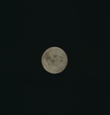 AS 17-152-23347 - The Moon is far away...Again! (elab. in true colors by Lunexit)
nessun commento
Parole chiave: The Moon from Space - Trans Earth Coast