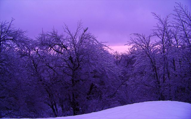 Once in a While (by Marco Faccin)
nessun commento
Parole chiave: Artistic Pictures