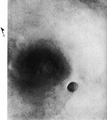 Phobos
nessun commento
Parole chiave: Phobos