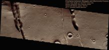 Channels-Mangala_Vallis_and_Memnonia_Fossae-PCF-LXTT.jpg