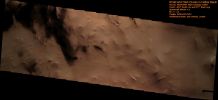 Dunes-Hellas_Planitia-20080324a-PCF-LXTT.jpg
