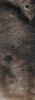 Elysium_Planitia-M1103342.jpg