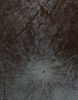 Europa-Craters-Pwyll_Crater-PIA01211-PCF-LXTT.jpg