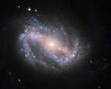 NGC-6217-HST.jpg