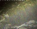 OPP-SOL1574-EB-LXTT.gif