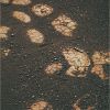 OPP-SOL541-1.jpg
