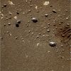 OPP-SOL555-1.JPG