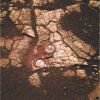 OPP-SOL561-1.jpg