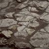 OPP-SOL591-1-GB.jpg