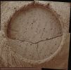 OPP-SOL633-MF-LXTT.jpg